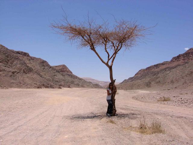 :  IMG_0305_.jpg
: 61
:  43,1 