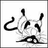 :  raz401.gif
: 493
:  6,4 