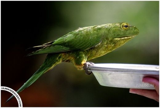 :  img_5037134_178_0.jpg
: 84
:  23,1 