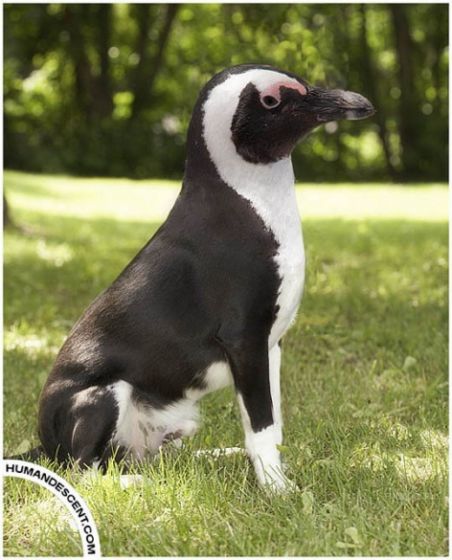 :  img_5037134_178_5.jpg
: 82
:  48,8 