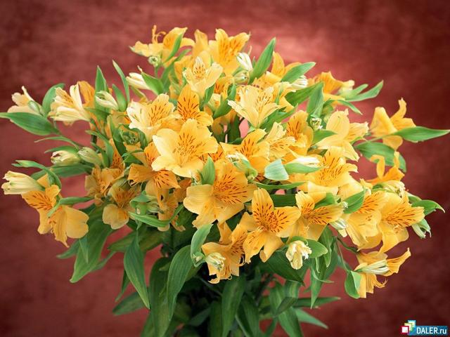 :  jgf.jpg
: 39
:  53,4 