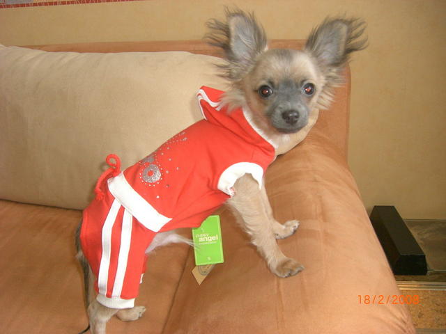 :  picsel.jpg
: 335
:  33,1 