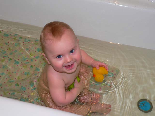 :  P1040824_1.jpg
: 37
:  43,6 