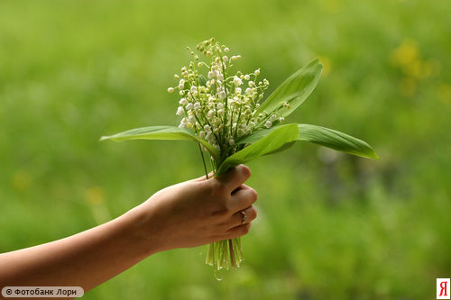 :  0000046667-YND.jpg
: 49
:  24,7 