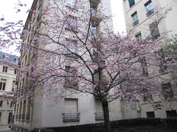 :  IMG_7836.jpg
: 97
:  49,0 