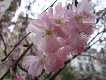 :  IMG_7838.jpg
: 96
:  42,0 