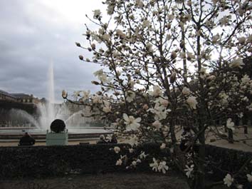 :  IMG_7858.jpg
: 97
:  49,2 