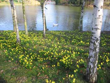 :  IMG_8047.jpg
: 94
:  48,4 