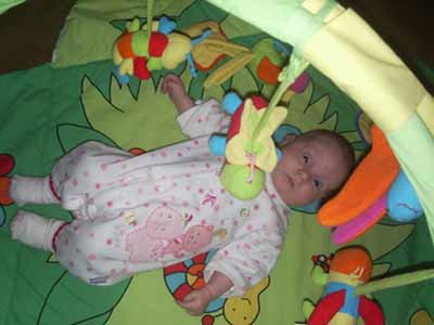 :  444.jpg
: 46
:  62,8 