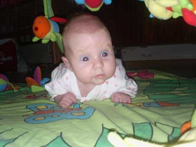 :  555.jpg
: 45
:  61,3 