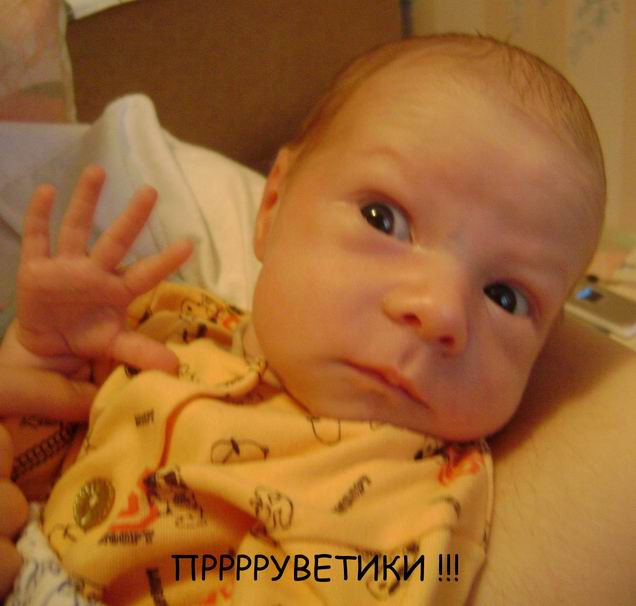 :  Resize of DSC01904.JPG
: 96
:  43,2 