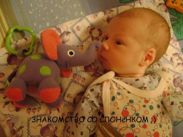 :  Resize of DSC01986.jpg
: 98
:  43,8 