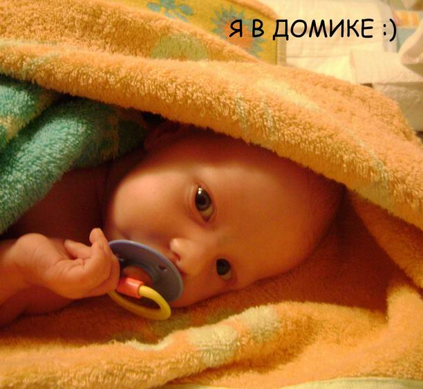 :  Resize of DSC02072.JPG
: 95
:  59,0 