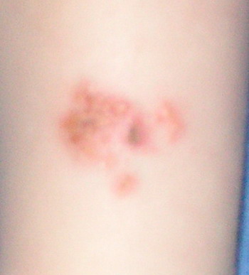 :  2.jpg
: 20
:  27,3 