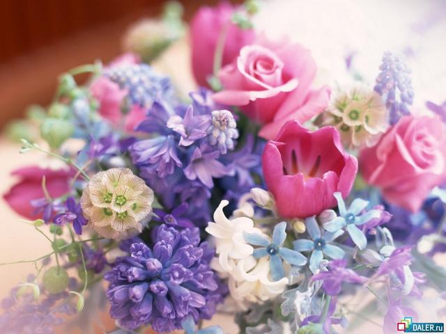 :  87wthp36cd0gkz6oamq073057v34weln_1.jpg
: 693
:  43,2 