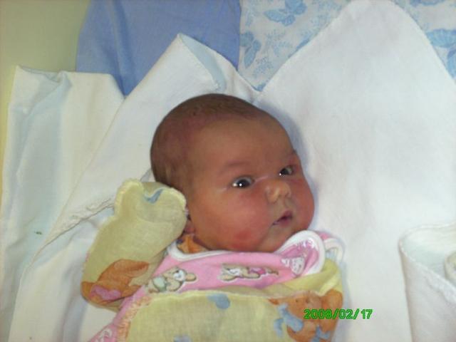 :  9.jpg
: 63
:  24,0 