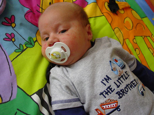 :  .jpg
: 72
:  52,6 