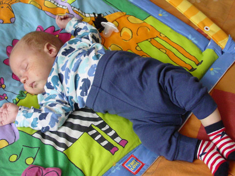 :  .jpg
: 66
:  58,7 