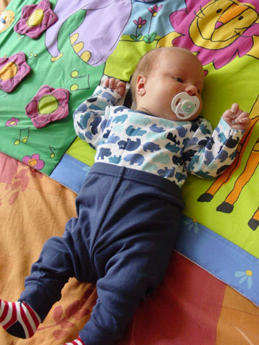 :  .jpg
: 66
:  59,0 