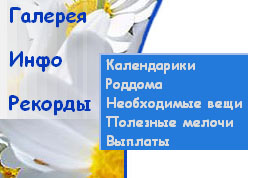 :  pic.jpg
: 61
:  37,5 