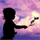 :  2.jpg
: 79
:  6,6 