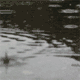 :  r.gif
: 94
:  7,8 