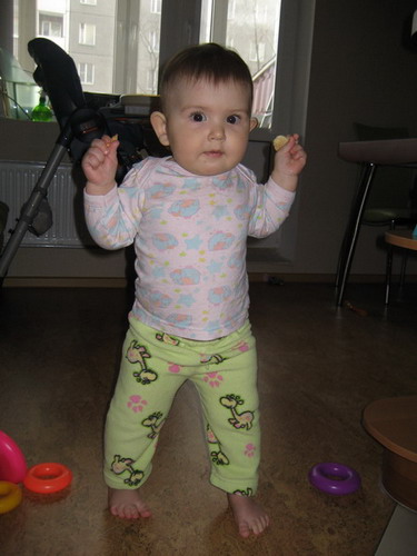 :  IMG_1983.jpg
: 196
:  54,2 