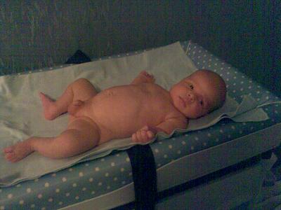 :  1.JPG
: 66
:  16,8 