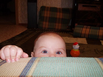 :  P4130008.JPG
: 52
:  38,2 
