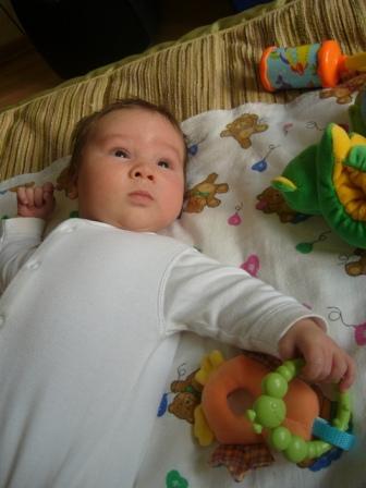 :  P1050403.jpg
: 64
:  30,4 