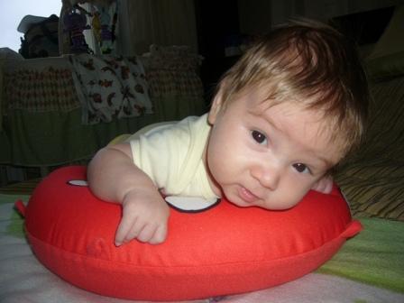 :  P1050450.jpg
: 62
:  28,7 