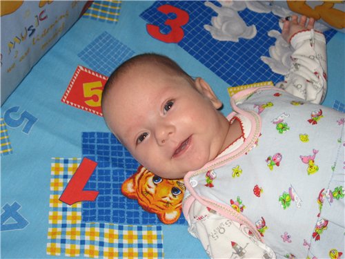 :  56d469e29088.jpg
: 81
:  47,1 