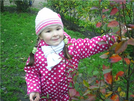 :  5d4497794be6.jpg
: 375
:  59,9 