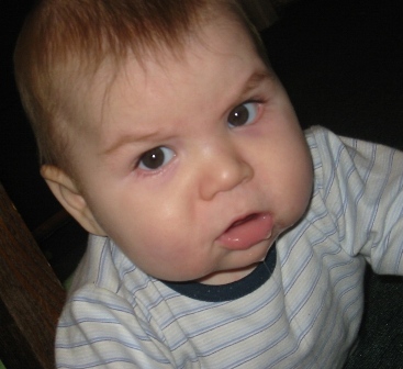 :  serdity.jpg
: 43
:  51,4 