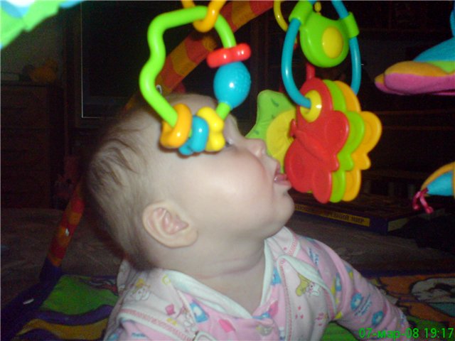 :  cbfd587a9011.jpg
: 667
:  51,3 