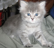 :  IMG_4613-1.jpg
: 72
:  17,4 