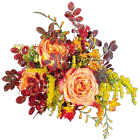 :  125.gif
: 49
:  43,9 