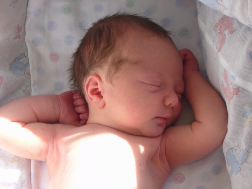 :  2006-09-21 14-48-02.JPG
: 102
:  51,0 
