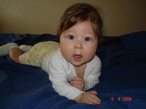 :  8438aa5b57cd.jpg
: 35
:  25,9 