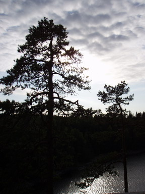 :  P9160092_resize.JPG
: 312
:  44,1 