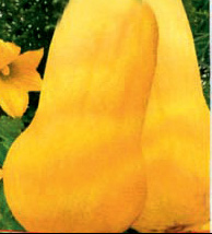 :  grushevk_200.jpg
: 54
:  19,4 