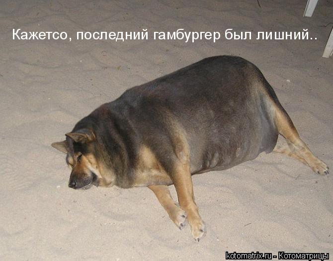 :  h.jpg
: 53
:  47,1 