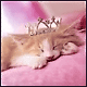 :  zak1.gif
: 95
:  7,8 