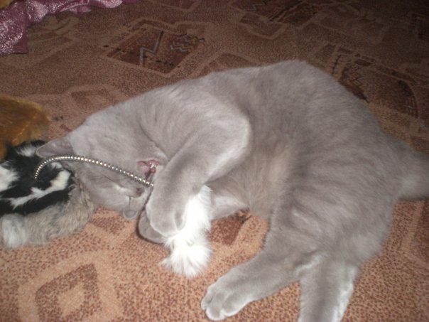 :  x_58cf0990.jpg
: 39
:  50,8 