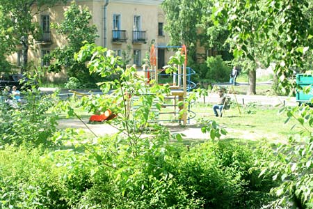 :  1.jpg
: 64
:  49,0 