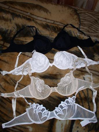 :  P1010246.JPG
: 444
:  39,5 