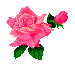 :  f62.gif
: 103
:  2,6 