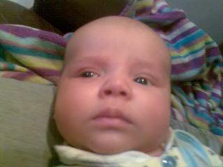 :   15.jpg
: 61
:  18,4 