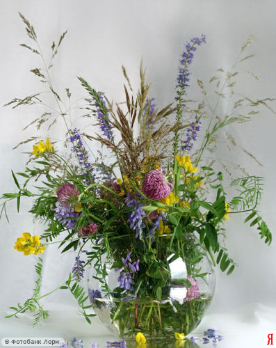 :  009640.jpg
: 41
:  54,0 