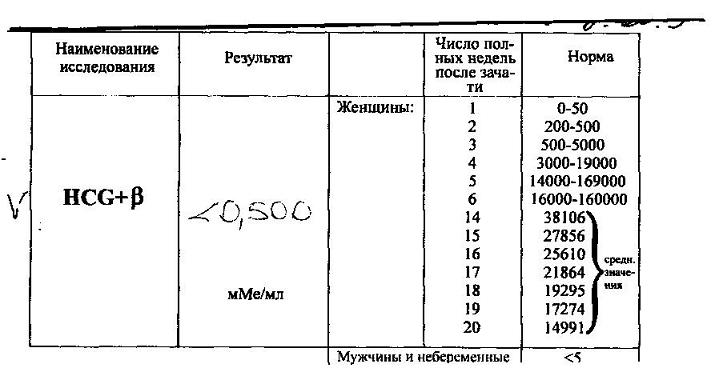 :   .JPG
: 64
:  40,5 